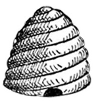 Hive on Main
